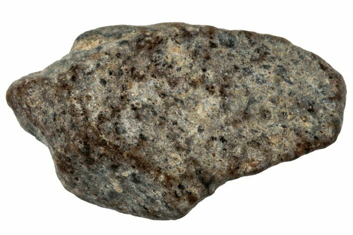 Lunar Meteorite ( g) - NWA #303988